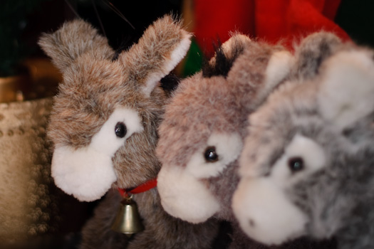Cuddly Toys up for raffle